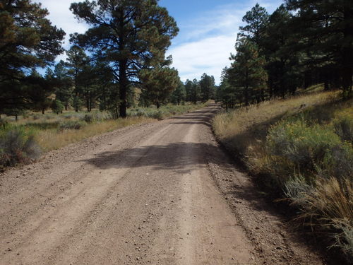 GDMBR: Our route north was pleasant.